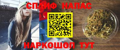 индика Новокубанск