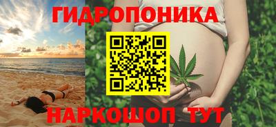 a pvp Новозыбков