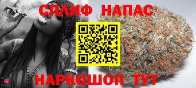 a pvp Новозыбков