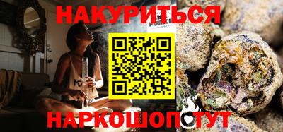 a pvp Новозыбков