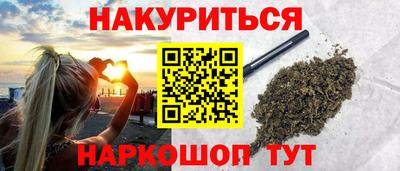 a pvp Новозыбков