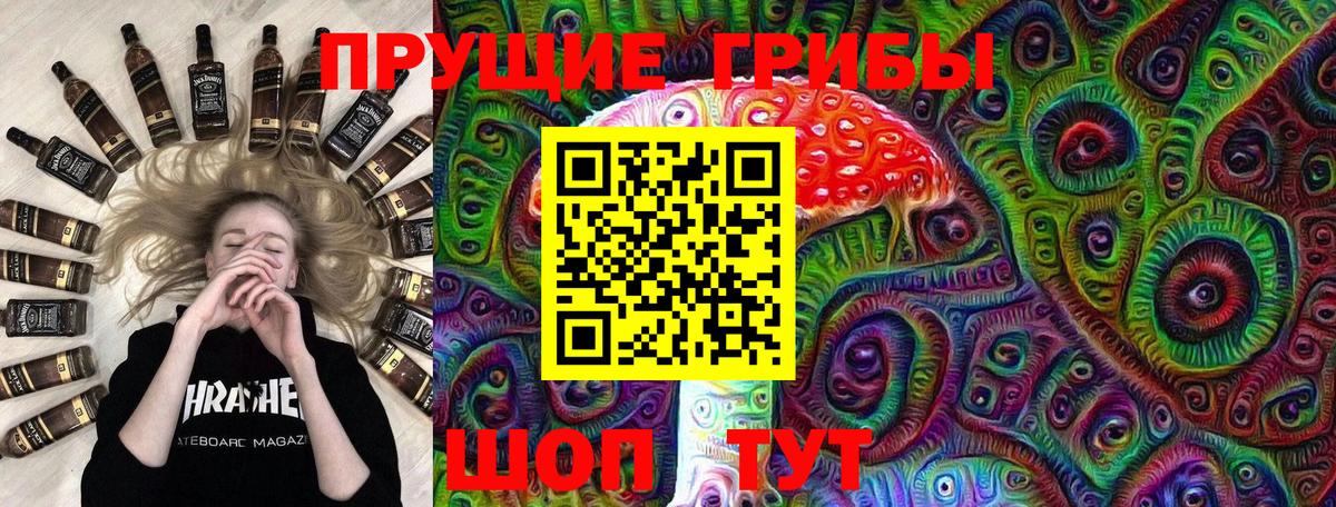 Псилоцибиновые грибы Cubensis Туапсе