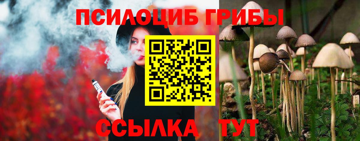 Галлюциногенные грибы прущие грибы  Вход с VPN  Туапсе  Галлюциногенные грибы прущие грибы 